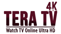 اشتراك تيرا تي في TERA TV 4K لمدة سنة + 3 شهور مجاناً: بُعد جديد من الوضوح والجودة ! 5 TERA